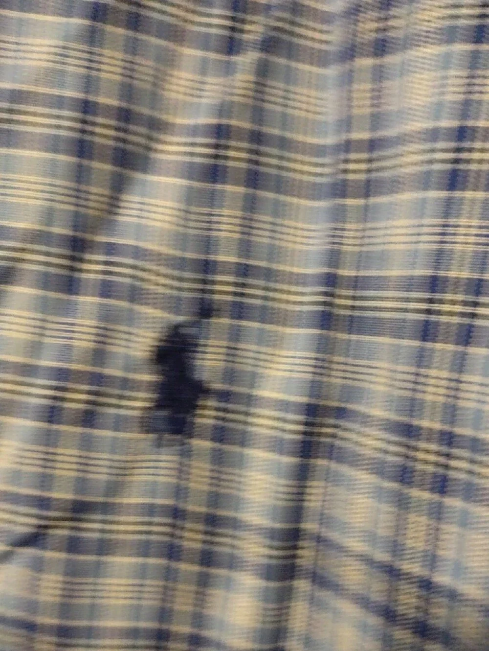 Polo by Ralph Lauren Light Blue Plaid Long-Sleeve Button-Down Shirt